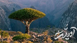 ۲۰ واقعیت جالب، بامزه و باورنکردنی برای ذهن های کنجکاو که آموزنده نیز هستند